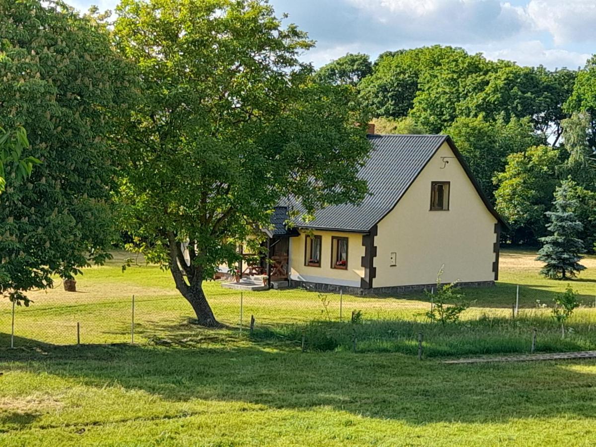 Ferienhaus Przystanek Nowekoprzywno - Zolty Pod Kasztanem